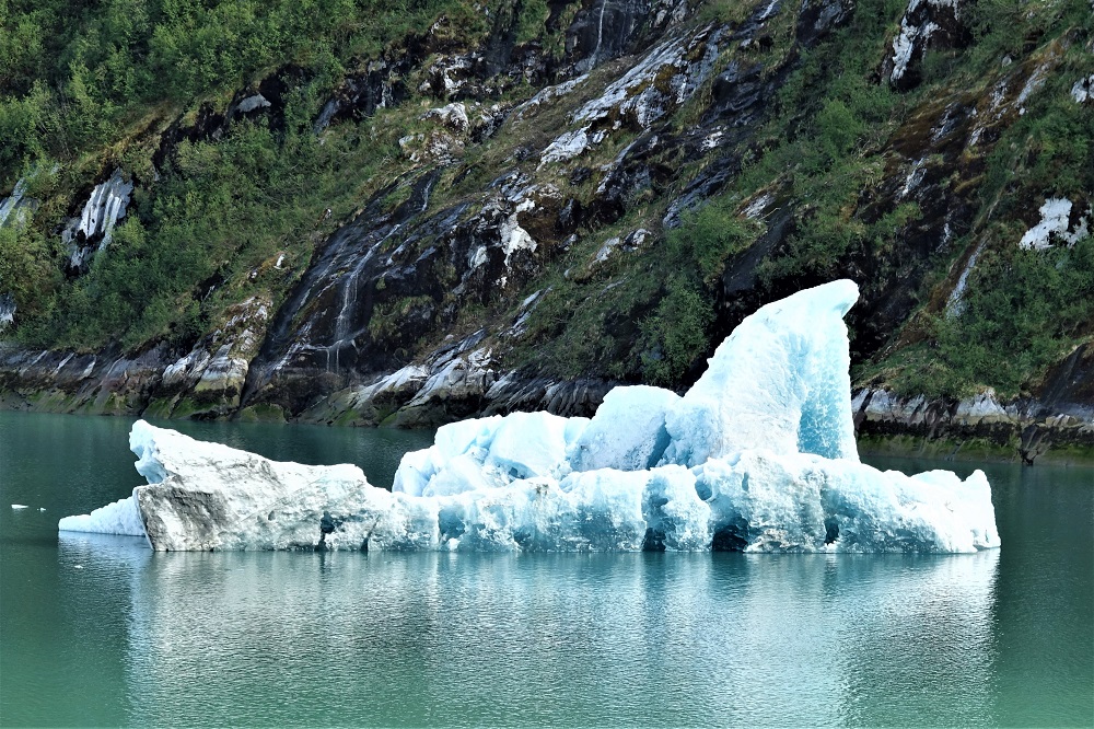 Sun Photo A00029 Ice From the Dawes Glacier in Alaska